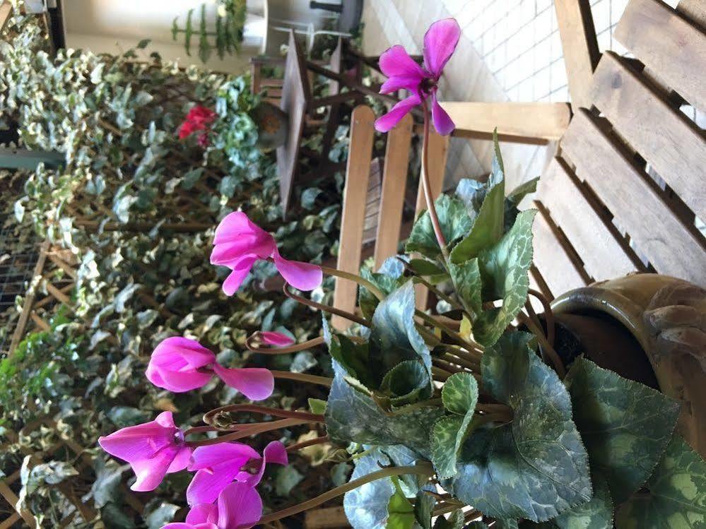 St. John Rome B&B 외부 사진